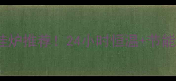 北京圣火24kw燃气壁挂炉推荐24小时恒温节能省气冬季采暖首选