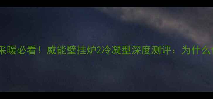 图片 北京家庭采暖必看！威能壁挂炉2冷凝型深度测评：为什么值得选？2