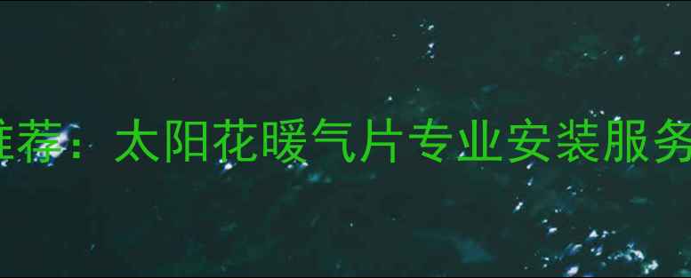 北京暖气片十大品牌推荐太阳花暖气片专业安装服务与节能环保解决方案