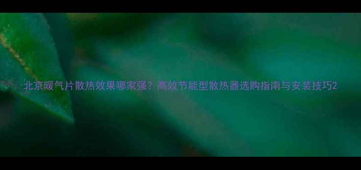 图片 北京暖气片散热效果哪家强？高效节能型散热器选购指南与安装技巧2