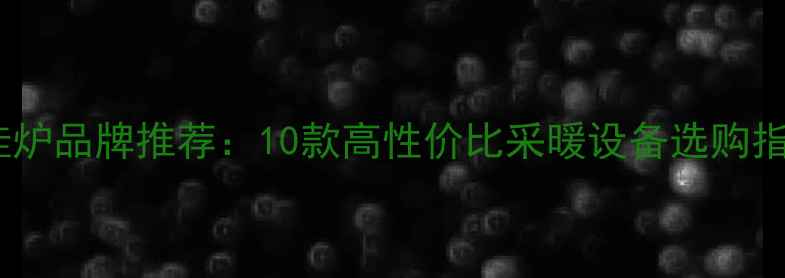 图片 北京进口壁挂炉品牌推荐：10款高性价比采暖设备选购指南（最新）1