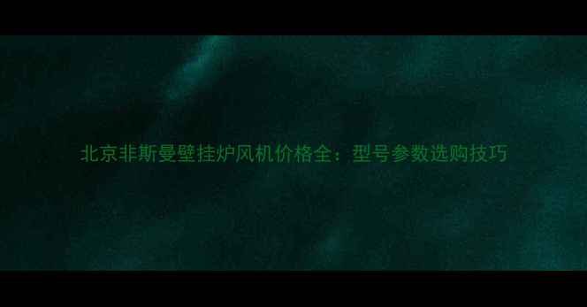 图片 北京非斯曼壁挂炉风机价格全：型号参数选购技巧