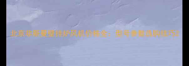北京非斯曼壁挂炉风机价格全型号参数选购技巧
