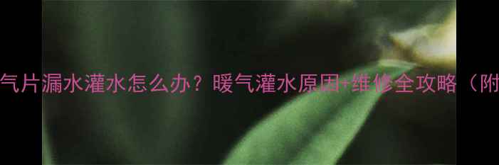 图片 北方农村暖气片漏水灌水怎么办？暖气灌水原因+维修全攻略（附安全指南）