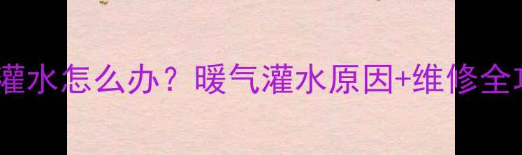 图片 北方农村暖气片漏水灌水怎么办？暖气灌水原因+维修全攻略（附安全指南）1