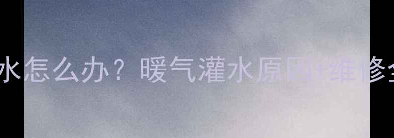 图片 北方农村暖气片漏水灌水怎么办？暖气灌水原因+维修全攻略（附安全指南）2