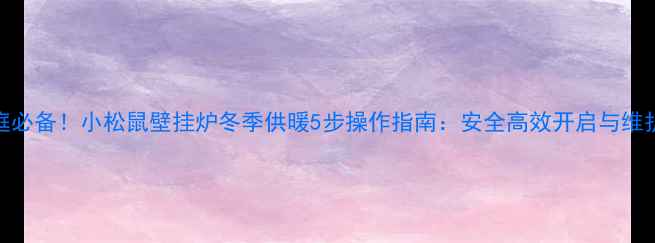 图片 北方家庭必备！小松鼠壁挂炉冬季供暖5步操作指南：安全高效开启与维护全攻略