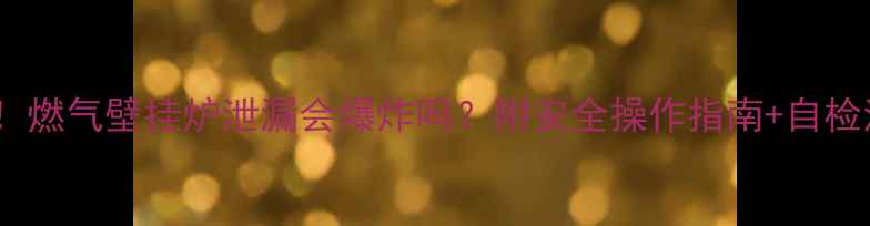 北方家庭必看燃气壁挂炉泄漏会爆炸吗附安全操作指南自检清单附图