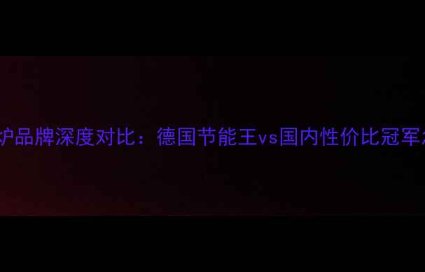 十大壁挂炉品牌深度对比德国节能王vs国内性价比冠军怎么选