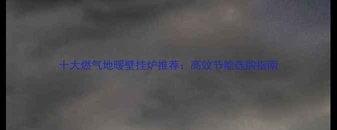 图片 十大燃气地暖壁挂炉推荐：高效节能选购指南