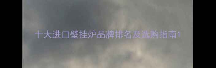 十大进口壁挂炉品牌排名及选购指南