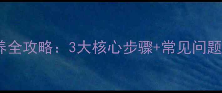 图片 半球壁挂炉清洗与保养全攻略：3大核心步骤+常见问题解答（附操作视频）2