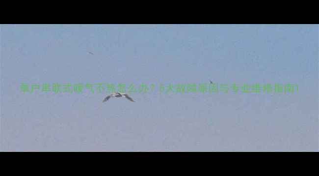 图片 单户串联式暖气不热怎么办？5大故障原因与专业维修指南1