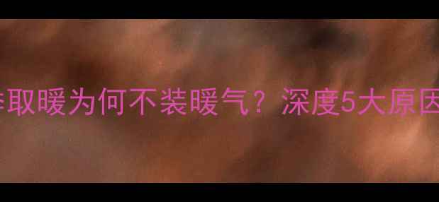 图片 南方家庭冬季取暖为何不装暖气？深度5大原因及替代方案1
