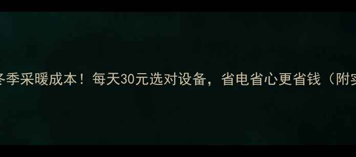 图片 南方家庭冬季采暖成本！每天30元选对设备，省电省心更省钱（附实测清单）