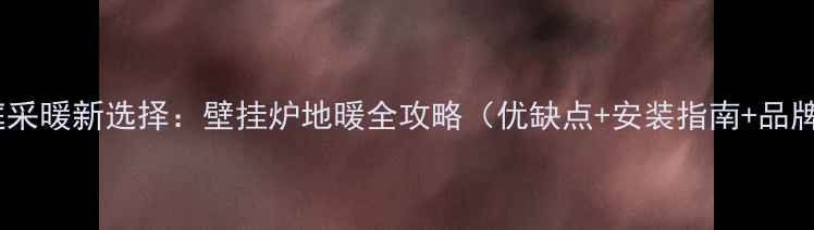 图片 南方家庭采暖新选择：壁挂炉地暖全攻略（优缺点+安装指南+品牌推荐）2
