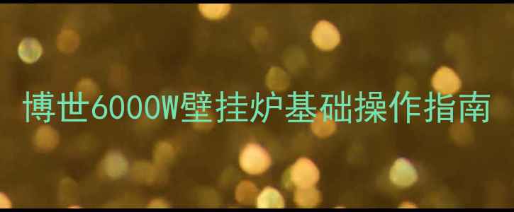 图片 博世6000W壁挂炉基础操作指南