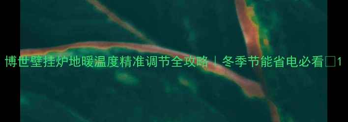 图片 博世壁挂炉地暖温度精准调节全攻略｜冬季节能省电必看🔥1