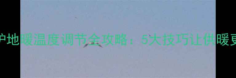 图片 博世壁挂炉地暖温度调节全攻略：5大技巧让供暖更节能舒适