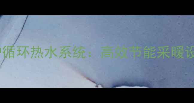 博世壁挂炉循环热水系统高效节能采暖设备的深度