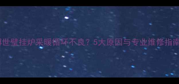 图片 博世壁挂炉采暖循环不良？5大原因与专业维修指南1