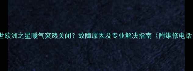 图片 博世欧洲之星暖气突然关闭？故障原因及专业解决指南（附维修电话）2