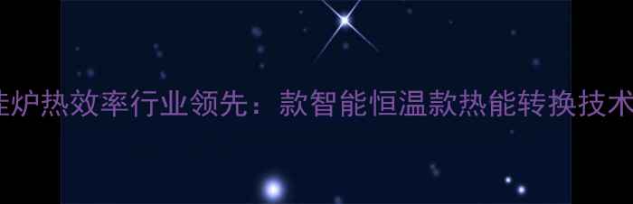 图片 博世燃气壁挂炉热效率行业领先：款智能恒温款热能转换技术与用户指南2