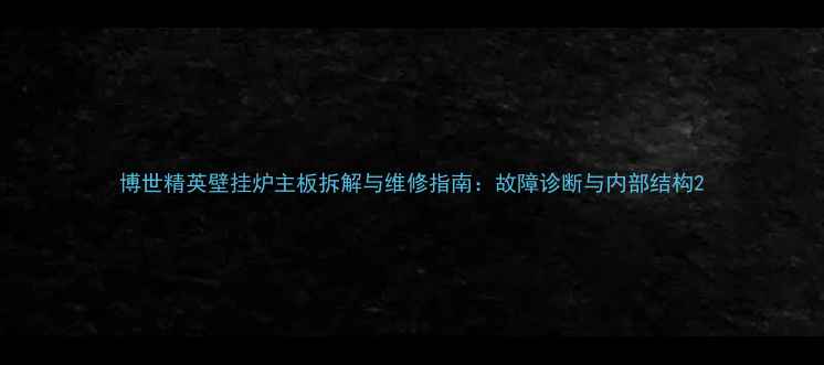 图片 博世精英壁挂炉主板拆解与维修指南：故障诊断与内部结构2