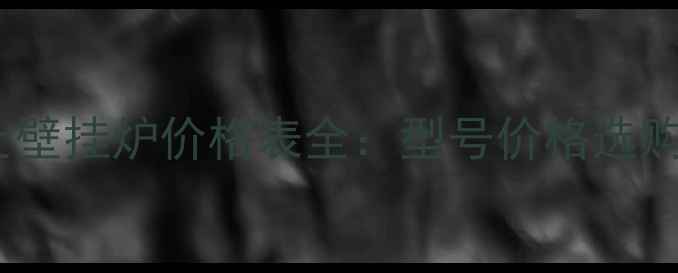 图片 博力士壁挂炉价格表全：型号价格选购指南2