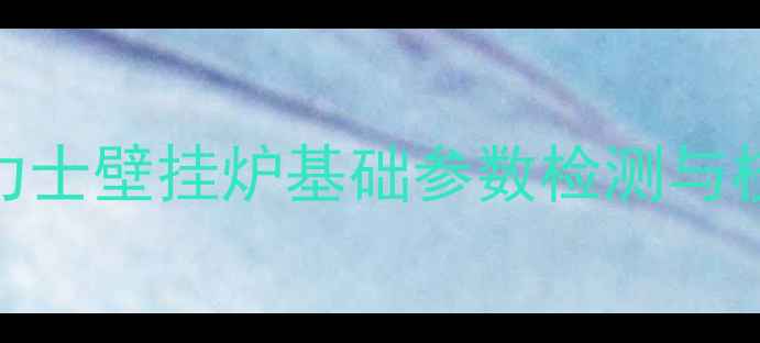 博力士壁挂炉基础参数检测与校准