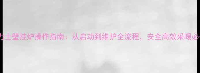 图片 博力士壁挂炉操作指南：从启动到维护全流程，安全高效采暖必备2