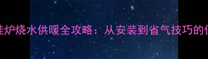 图片 博力士壁挂炉烧水供暖全攻略：从安装到省气技巧的保姆级指南