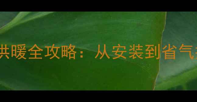 博力士壁挂炉烧水供暖全攻略从安装到省气技巧的保姆级指南