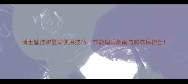 图片 博士壁挂炉夏季使用技巧：节能调试指南与防冻保护全1