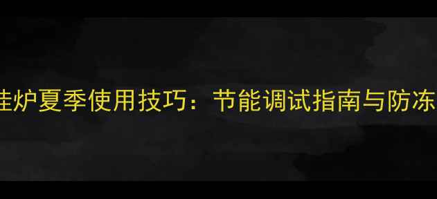 图片 博士壁挂炉夏季使用技巧：节能调试指南与防冻保护全2