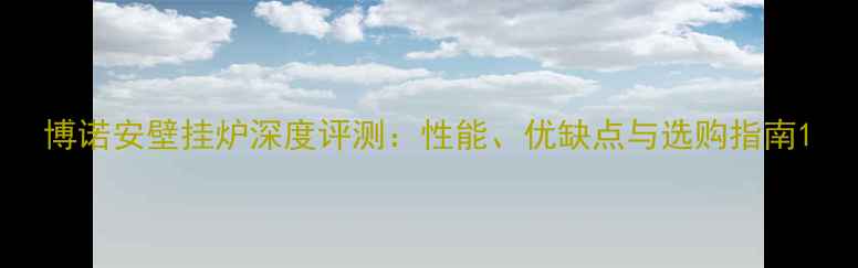 博诺安壁挂炉深度评测性能优缺点与选购指南
