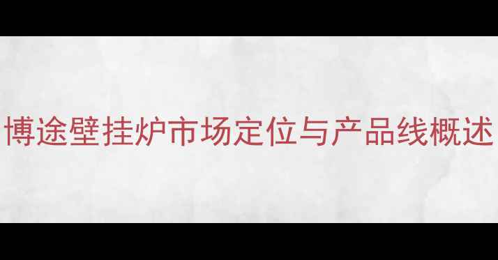 图片 博途壁挂炉市场定位与产品线概述