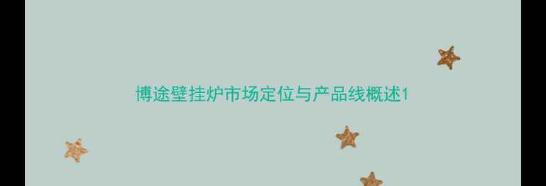 图片 博途壁挂炉市场定位与产品线概述1