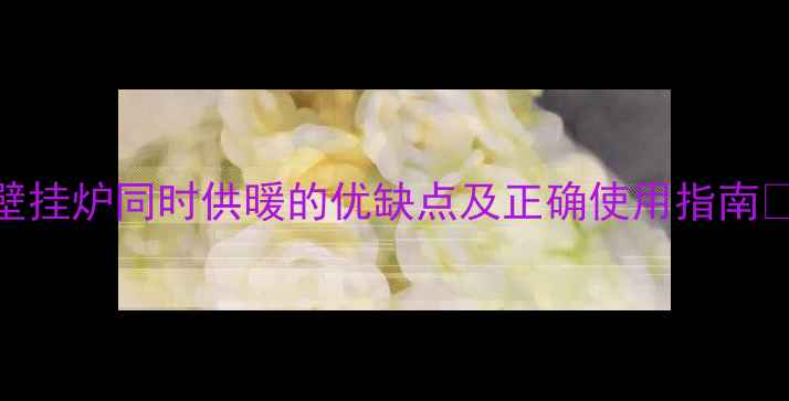 双壁挂炉同时供暖的优缺点及正确使用指南