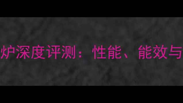 图片 史密斯壁挂炉深度评测：性能、能效与性价比全面