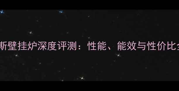 图片 史密斯壁挂炉深度评测：性能、能效与性价比全面1