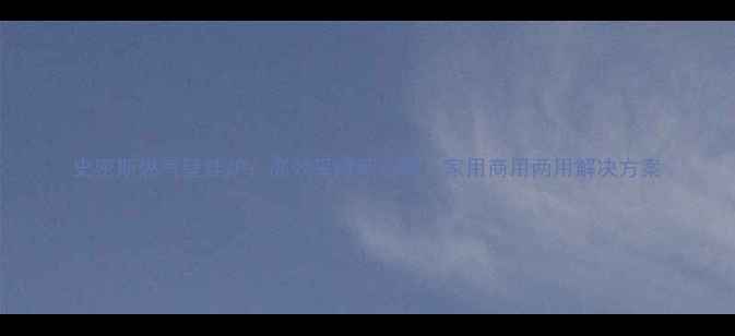 图片 史密斯燃气壁挂炉：高效采暖新选择，家用商用两用解决方案