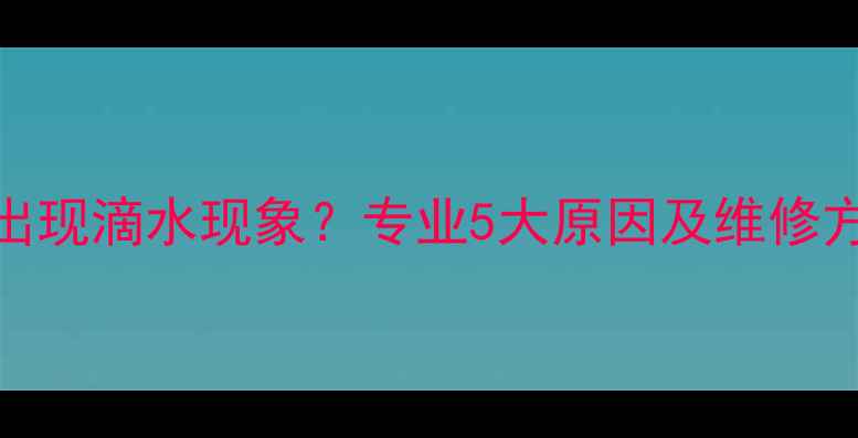 图片 史麦斯壁挂炉出现滴水现象？专业5大原因及维修方案（附图解）