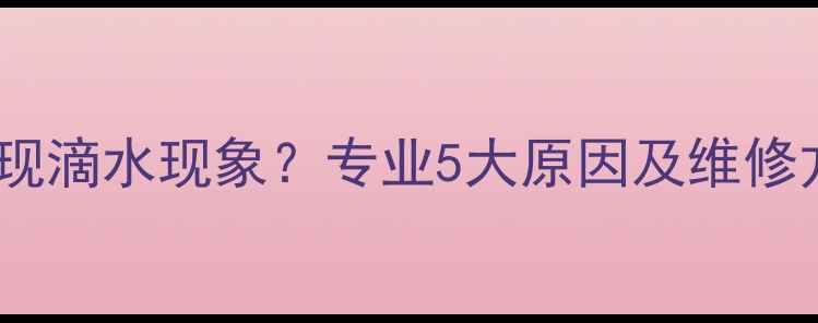 图片 史麦斯壁挂炉出现滴水现象？专业5大原因及维修方案（附图解）2