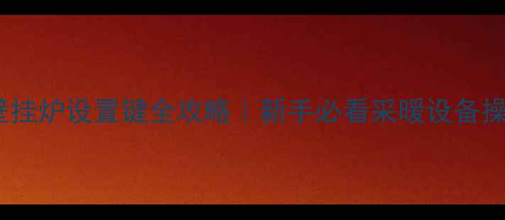 图片 史麦斯壁挂炉设置键全攻略｜新手必看采暖设备操作指南1