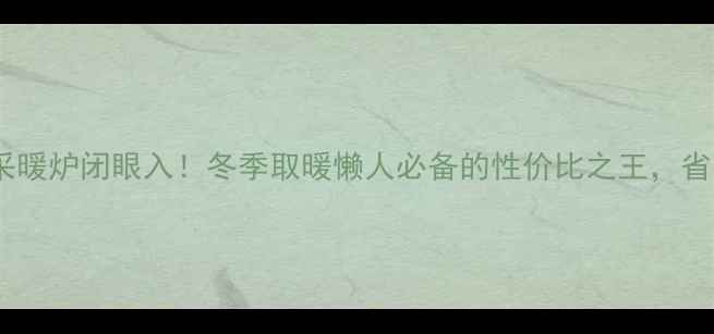 合肥家用燃气采暖炉闭眼入冬季取暖懒人必备的性价比之王省电省气还环保