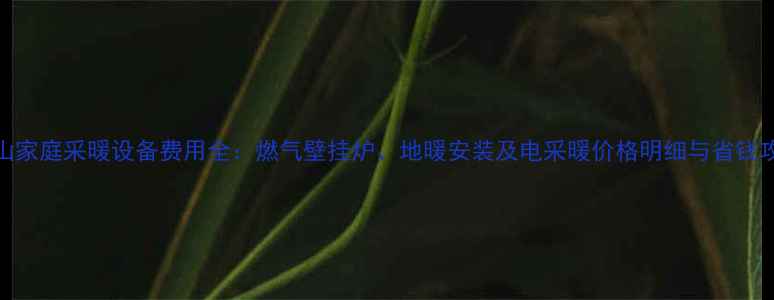 图片 唐山家庭采暖设备费用全：燃气壁挂炉、地暖安装及电采暖价格明细与省钱攻略