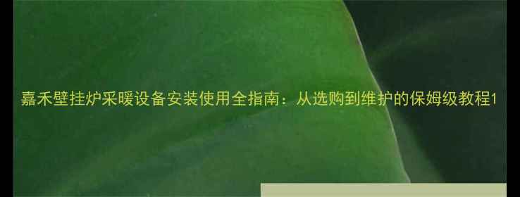 嘉禾壁挂炉采暖设备安装使用全指南从选购到维护的保姆级教程
