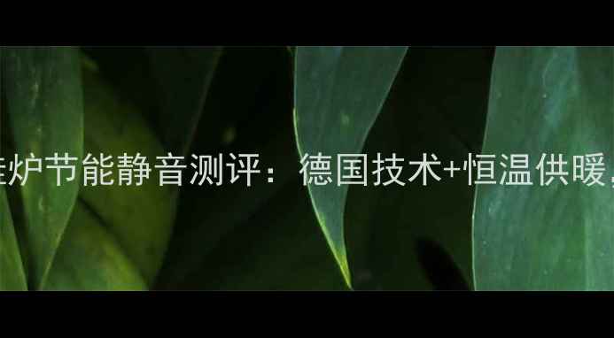 图片 国产24W菲斯曼壁挂炉节能静音测评：德国技术+恒温供暖，家庭供暖新选择1