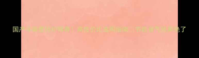 图片 国产冷凝壁挂炉推荐！高性价比选购指南🔥节能省气效果绝了